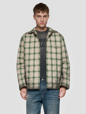 251M142_1.jpg